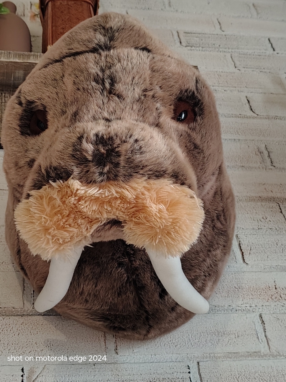 RARE Jenni Kayne x Pottery Barn Kids Plush Walrus Head Wall Decor Retired